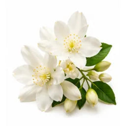 Hedione®