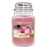 yankee-candle-sweet-plum-sake-aromatna-svesht-7002644117.jpg