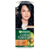 Garnier Color Naturals...