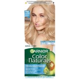 Garnier Color Naturals...