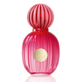 Antonio Banderas The Icon...