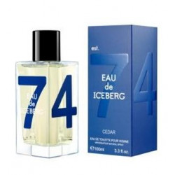 iceberg-eau-de-iceberg-cedar-parfyum-za-maje-edt-557257957.jpg