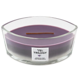 WoodWick Trilogy Amethyst...