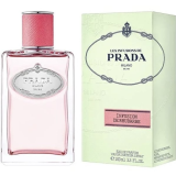 Prada Infusion De Rhubarbe...