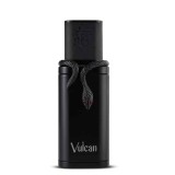 French Avenue Vulcan Black...