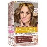 L'Oreal Paris Excellence...