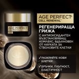 L'Oreal Paris Dermo Age Perfect Cell Renewal Дневен крем за лице