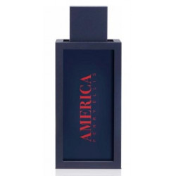 perry-ellis-america-toaletna-voda-za-maje-edt-6994943921.jpg