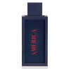 perry-ellis-america-toaletna-voda-za-maje-edt-6994943921.jpg