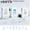 OOTD Cica Soothing Mask Успокояваща маска с центела