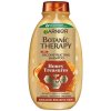 Garnier Botanic Therapy Honey Treasures Шампоан за много увредена коса