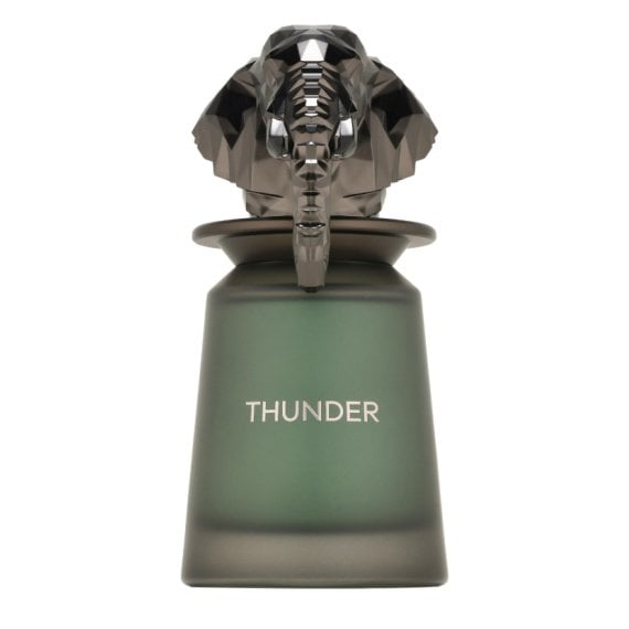French Avenue Thunder Парфюмна вода за мъже EDP