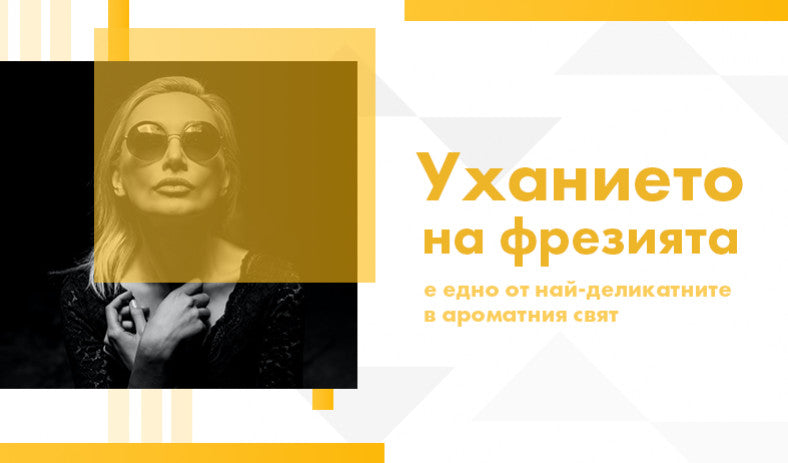 Уханието на фрезия е едно от най-деликатните в ароматния свят