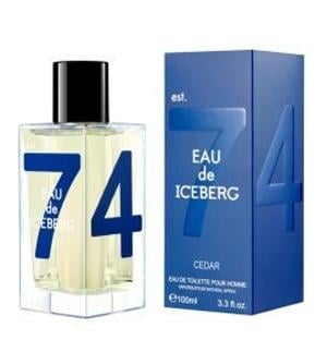 iceberg-eau-de-iceberg-cedar-parfyum-za-maje-edt-557257957.jpg