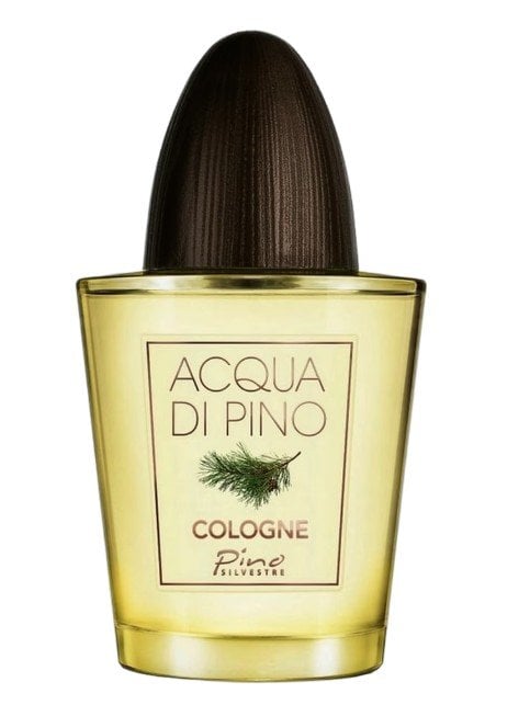 Pino Silvestre Acqua di Pino Cologne Одеколон за мъже без опаковка EDC
