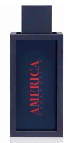 perry-ellis-america-toaletna-voda-za-maje-edt-6994943921.jpg