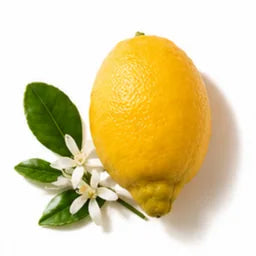 Бергамот