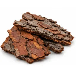 Бор (кора)