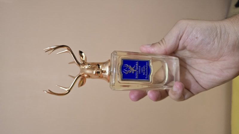 j8ezo3vqiwp0j7goj44w-thumbnail.jpg