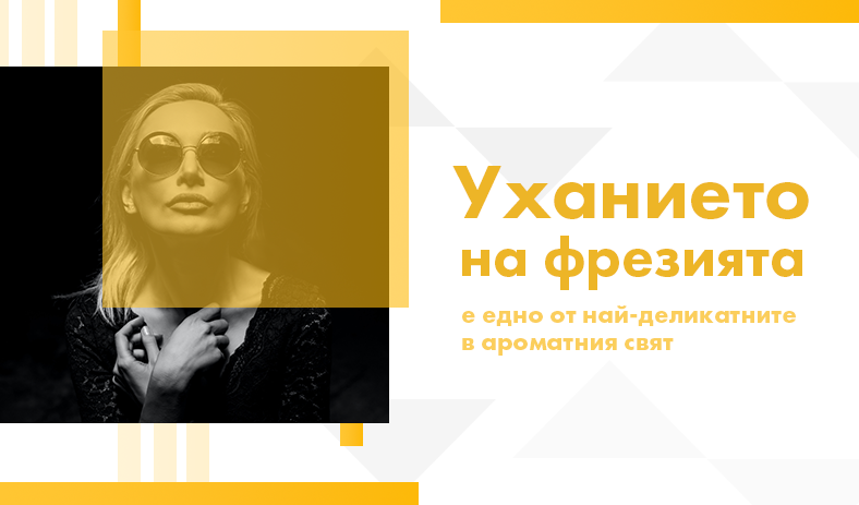 Уханието на фрезия е едно от най-деликатните в ароматния свят